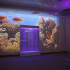 Проекционный дизайн "Виртуальная реальность" базовый комплект 500 анимаций - «globural.ru» - Карпинск