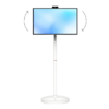 Мобильная панель Mobiscreen NOVA 32" - «globural.ru» - Карпинск