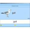 Английский язык. Освоение клавиатуры - «globural.ru» - Карпинск
