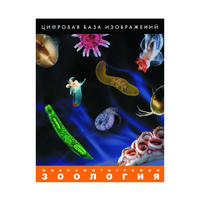 Зоология. Микрофотографии. (Цифровая база изображений) - «globural.ru» - Карпинск