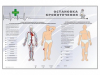 Электрифицированный стенд "Остановка кровотечения" - «globural.ru» - Карпинск
