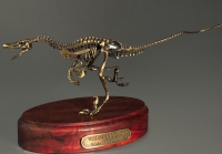 Модель скелета динозавра Velociraptor - «globural.ru» - Карпинск