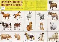 Демонстрационные карточки "Домашние животные" - «globural.ru» - Карпинск