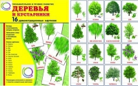 Демонстрационные карточки "Деревья и кустарники" - «globural.ru» - Карпинск