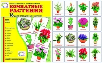 Демонстрационные карточки "Комнатные растения" - «globural.ru» - Карпинск