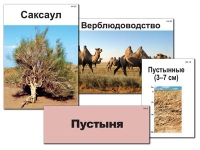 Модель-аппликация "Природные зоны России" - «globural.ru» - Карпинск