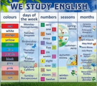 Стенд "We study english" - «globural.ru» - Карпинск