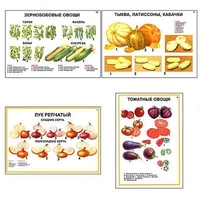 Плакаты ПРОФТЕХ "Ассортимент овощных культур" (12 пл, винил, 70х100) - «globural.ru» - Карпинск