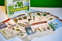 Гербарий к курсу основ общей биологии - «globural.ru» - Карпинск
