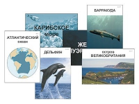 Модель-аппликация "Океаны. Знакомство" (ламинированная) - «globural.ru» - Карпинск