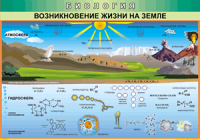 Таблица Возникновение жизни на Земле 1000*1400 винил - «globural.ru» - Карпинск