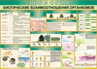 Таблица Биотические взаимоотношения организмов 1000*700 (винил) - «globural.ru» - Карпинск