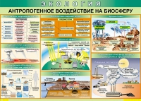 Таблица Антропогенное воздействие на биосферу 1000*700 винил - «globural.ru» - Карпинск