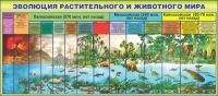 Стенд "Эволюция растительного и животного мира" - «globural.ru» - Карпинск