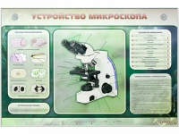 Электрифицированный стенд "Устройство микроскопа и правила работы c ним" - «globural.ru» - Карпинск