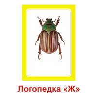 Логопедка "Ж" (логопедические карточки) - «globural.ru» - Карпинск