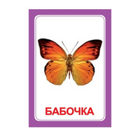 Логопедка "Ч" (логопедические карточки) - «globural.ru» - Карпинск