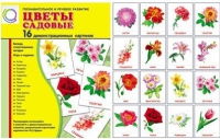 Демонстрационные карточки "Цветы садовые" - «globural.ru» - Карпинск
