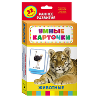 Карточки Домана "Животные" - «globural.ru» - Карпинск