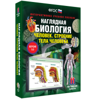 Наглядная биология. Человек. Строение тела человека - «globural.ru» - Карпинск