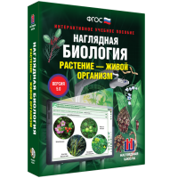 Наглядная биология. Растение - живой организм - «globural.ru» - Карпинск