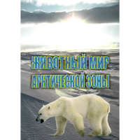 DVD Животный мир Арктической зоны - «globural.ru» - Карпинск