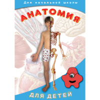 DVD  Анатомия для детей - «globural.ru» - Карпинск