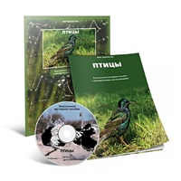 Электронное наглядное пособие «Птицы» - «globural.ru» - Карпинск