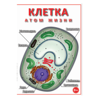 DVD Клетка - "атом жизни" - «globural.ru» - Карпинск