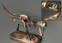 Модель скелета динозавра Tyrannosaurus - «globural.ru» - Карпинск