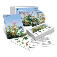 Комбинированное наглядное пособие «Растения» - «globural.ru» - Карпинск