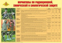 Плакат "Нормативы по радиационной, химической и биологической защите" - «globural.ru» - Карпинск