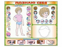 Стенд маркерный "Познаю себя" (тело, голова, органы чувств) - «globural.ru» - Карпинск