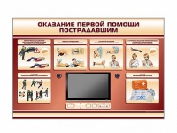 Многофункциональный интерактивный стенд-тренажер "Оказание первой помощи пострадавшим" для учащихся общеобразовательных учреждений - «globural.ru» - Карпинск