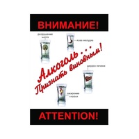 DVD Алкоголь. Признать виновным - «globural.ru» - Карпинск