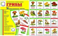 Демонстрационные карточки  "Грибы съедобные и не съедобные" - «globural.ru» - Карпинск