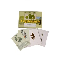 Гербарий "Деревья и кустарники" (22 вида, с иллюстрациями) - «globural.ru» - Карпинск