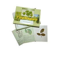 Гербарий "Дикорастущие растения" (30 видов, с иллюстрациями) - «globural.ru» - Карпинск