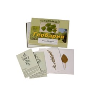 Гербарий "Лекарственные растения" (22 вида, с иллюстрациями) - «globural.ru» - Карпинск