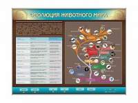 Интерактивный электрифицированный стенд "Эволюция животного мира" - «globural.ru» - Карпинск
