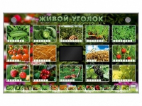 Комплект оборудования "Живой уголок" (растения) - «globural.ru» - Карпинск