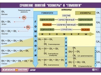 Таблица демонстрационная "Сравнение понятий изомер и гомолог" (винил 100х140) - «globural.ru» - Карпинск