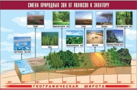 Таблица демонстрационная "Смена природных зон от полюсов к экватору" (винил 70x100) - «globural.ru» - Карпинск