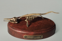 Модель скелета ихтиозавра Ichthyosaurus - «globural.ru» - Карпинск