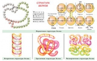Плакаты и таблицы по общей химии - «globural.ru» - Карпинск