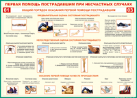  Таблица Общий порядок оказания первой помощи пострадавшим 1000*1400 винил	 - «globural.ru» - Карпинск