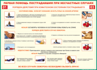 Таблица Порядок действий при коматозном состоянии пострадавшего 1000*1400 винил - «globural.ru» - Карпинск