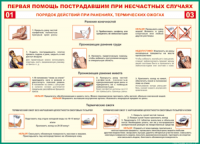 Таблица Порядок действий при ранениях и термических ожогах	 1000*1400 винил - «globural.ru» - Карпинск