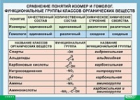 Химия. Сравнение понятий изомер и гомолог. Функциональные группы классов органических веществ (винил) - «globural.ru» - Карпинск