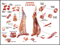 Правила разделки мясных туш "Баранина и ягнятина" 1000*1400 винил - «globural.ru» - Карпинск